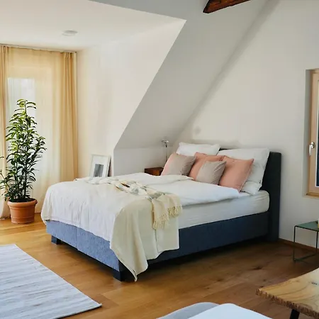 Exklusive Dachgeschoss-suite Mit Sauna & Terrasse *
